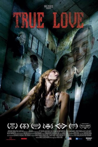 True love - dvd ex noleggio distribuito da 01 Distribuition - Rai Cinema