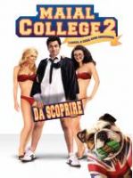 Maial college 2 - dvd ex noleggio