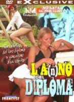 L'A(N)NO DEL DIPLOMA - dvd hard nuovi