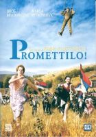 Promettilo - dvd ex noleggio