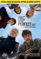 Perfect day - dvd ex noleggio